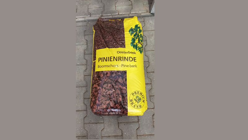 Pinienrinde-1 Pinienrinde-1